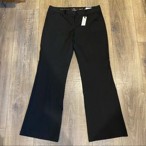 Express Dress Slacks